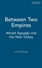 Image for Between Two Empires
