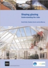 Image for Sloping glazing  : understanding the risks