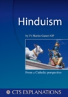 Image for Hinduism : From a Catholic Perspective