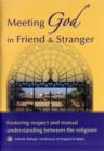 Image for Meeting God in Friend and Stranger