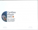 Image for Cardiau Fflach CBAC 2
