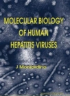 Image for Molecular biology of human hepatitis viruses
