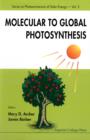 Image for Molecular to global photosynthesis