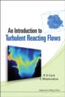 Image for An introduction to turbulent reacting flows