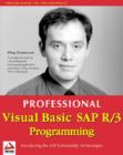 Image for Professional VB SAP R/3 Programming