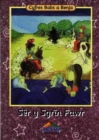 Image for Cyfres Babs a Benja: Ser y Sgrin Fawr (Llyfr Mawr)
