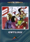 Image for Cyfres Nici a Cris: Gwyliau (Llyfr Mawr)
