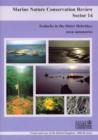 Image for Marine nature conservation review  : sector 14: Sealochs in the Outer Hebrides - area summaries : Sector 14