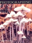 Image for Photographing fungi in the field