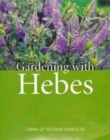 Image for Gardening with hebes