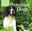 Image for How to Photograph Dogs