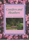Image for Conifers and Heathers