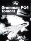 Image for Grumman F-14 Tomcat