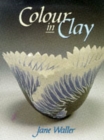 Image for Colour in Clay