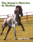 Image for The horse&#39;s muscles in motion