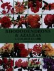 Image for Rhododendrons &amp; azaleas  : a colour guide