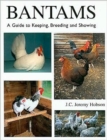 Image for Bantams, A Guide to Keeping, Breeding and Showing
