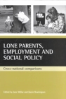 Image for Lone parents, employment and social policy