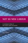 Image for Not so New Labour : A sociological critique of New Labour&#39;s policy and practice