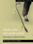Image for Youth crime and youth justice  : public opinion in England and Wales