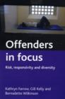 Image for Offenders in focus