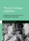 Image for &#39;Planned&#39; teenage pregnancy : Perspectives of young parents from disadvantaged backgrounds