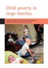 Image for Child poverty in large families