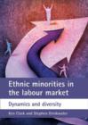 Image for Ethnic minorities in the labour market