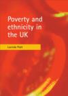 Image for Poverty and ethnicity in the UK