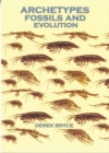 Image for Archetypes Fossils and Evolution
