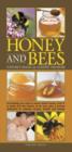 Image for Honey and bees  : nature&#39;s magical golden treasure