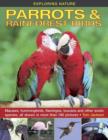 Image for Parrots &amp; rainforest birds  : macaws, hummingbirds, flamingos, toucans and other exotic species, all show in more than 180 pictures