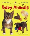 Image for Say and Point Picture Boards: Baby Animals