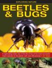 Image for Beetles &amp; bugs