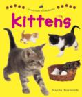 Image for Say and Point Picture Boards: Kittens