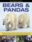 Image for Bears &amp; pandas  : an intriguing insight into the lives of brown bears, polar bears, black bears, pandas and others, with 190 exciting images
