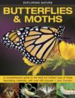 Image for Exploring Nature: Butterflies &amp; Moths