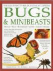 Image for Illustrated Wildlife Encyclopedia: Bugs &amp; Minibeasts