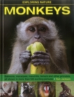 Image for Monkeys  : baboons, macaques, mandrills, lemurs and other primates, all shown in more than 180 exciting pictures