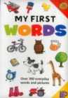 Image for My first words  : over 300 everyday words and pictures