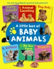 Image for A little box of baby animals