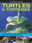 Image for Exploring Nature: Turtles &amp; Tortoises