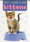 Image for Let&#39;s Look &amp; See: Kittens