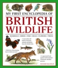 Image for My first encyclopedia of British wildlife  : mammals, birds, fish, bugs, flowers, trees