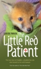 Image for The little red patient  : the true story of Maddie, a disabled fox cub