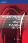 Image for Understanding the Small Business Sector