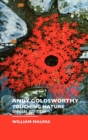 Image for Andy Goldsworthy  : touching nature