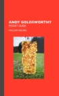 Image for Andy Goldsworthy