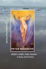 Image for Peter Redgrove  : here comes the flood