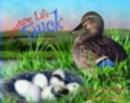 Image for Starting Life : Duck